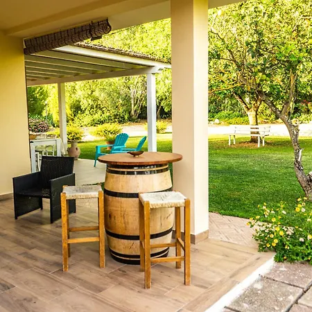 The Vineyards